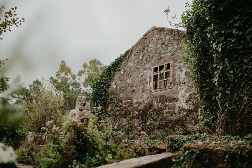 Antas Villa Family Esposende Exterior photo